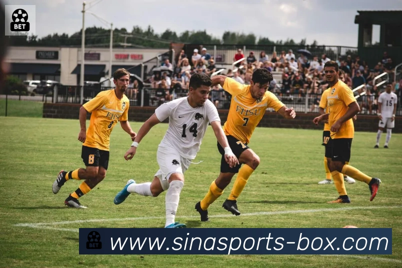 新浪体育品牌故事